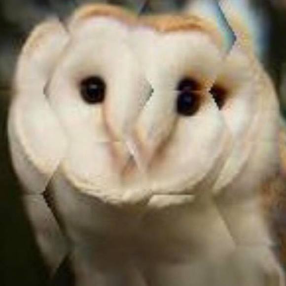 Meet your Posher, Heather - Picture 1 of 1